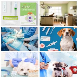 veterinary medical supplies