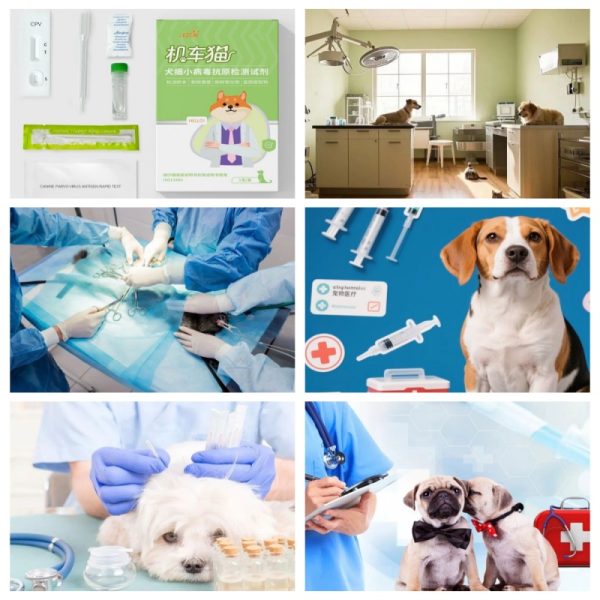 veterinary medical supplies